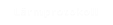 Lärmprotokoll